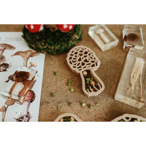 Formina in bioplastica per pasta modellabile Fungo Morchella Kinfolk Pantry