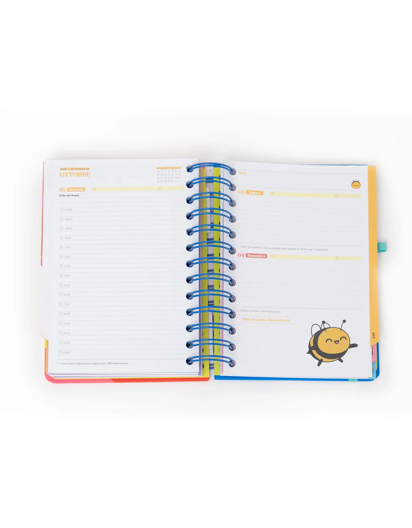 Agenda Wonder Piccola 2026 Giornaliera – Mr. Wonderful | “Quando si chiude una porta, si apre l’agenda” - immagine 3