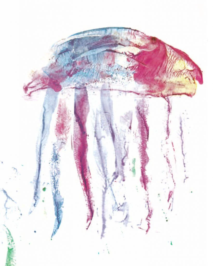 Guizzino - immagine 3