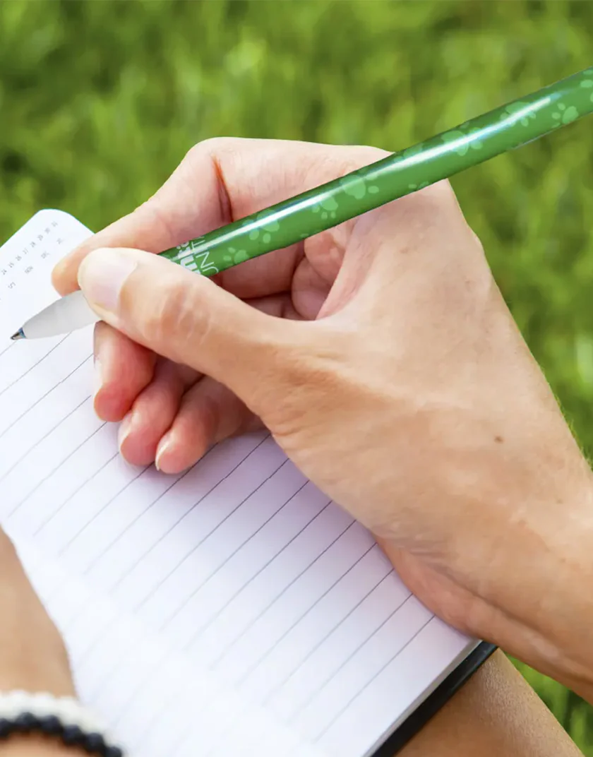 Penne Gel Cancellabili Tinta Unita "Giù la Zampa" - Scrittura Fluida e Senza Errori - immagine 3